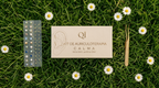 Kit Calma de auriculoterapia Movimiento del Qi